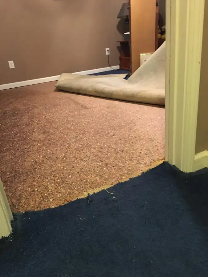 Carpet pad removal revealing water damage during Water Mitigation Services in East Manchester